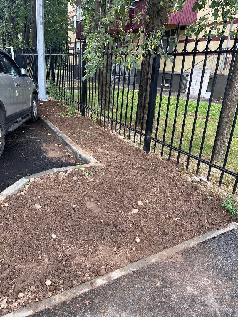 пушкино, газон, благоустройство, комплексное благоустройство, трава, коммунальная служба,