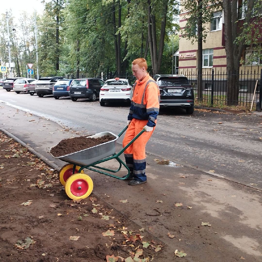 пушкино, газон, благоустройство, комплексное благоустройство, трава, коммунальная служба,