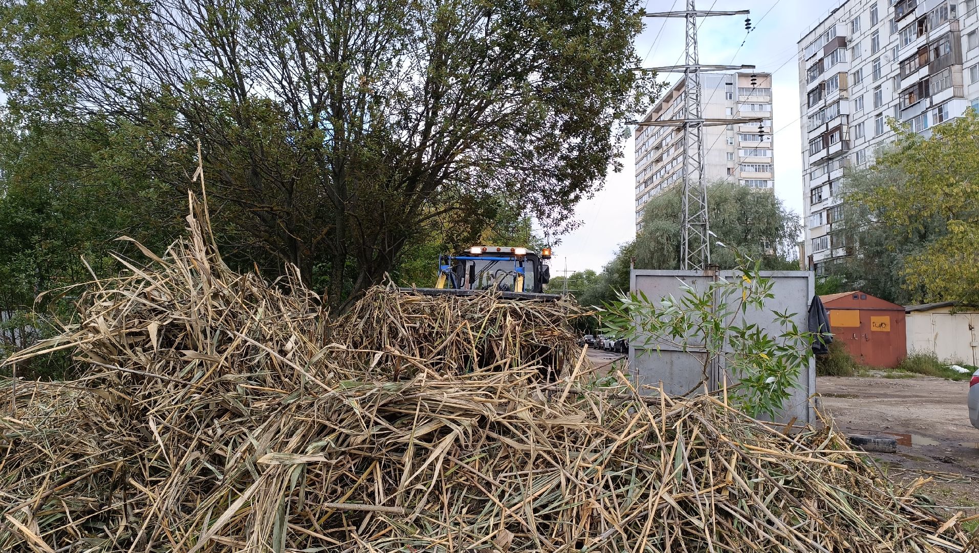 пруд, лобня, экология,