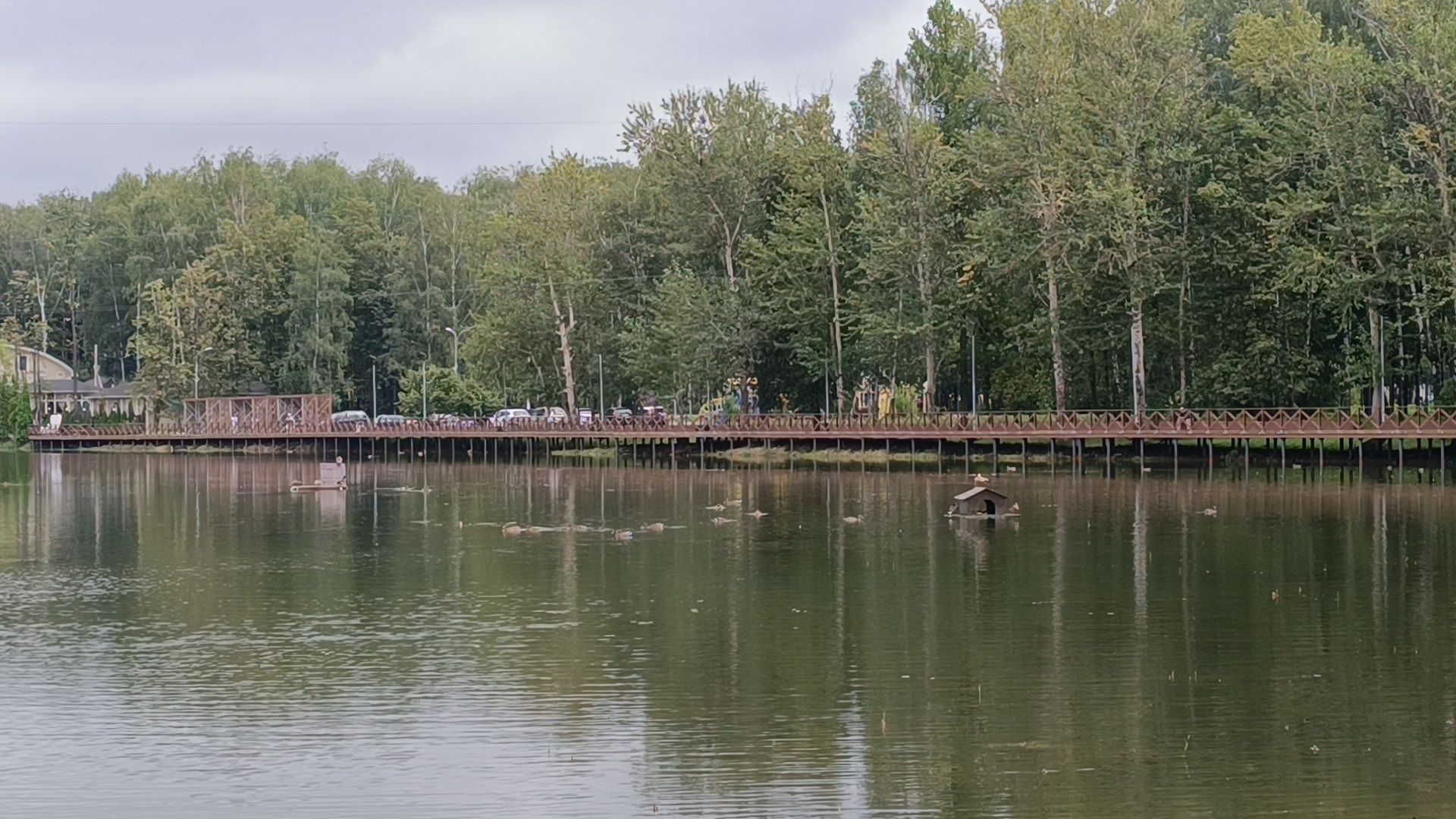 пруд, лобня, экология,