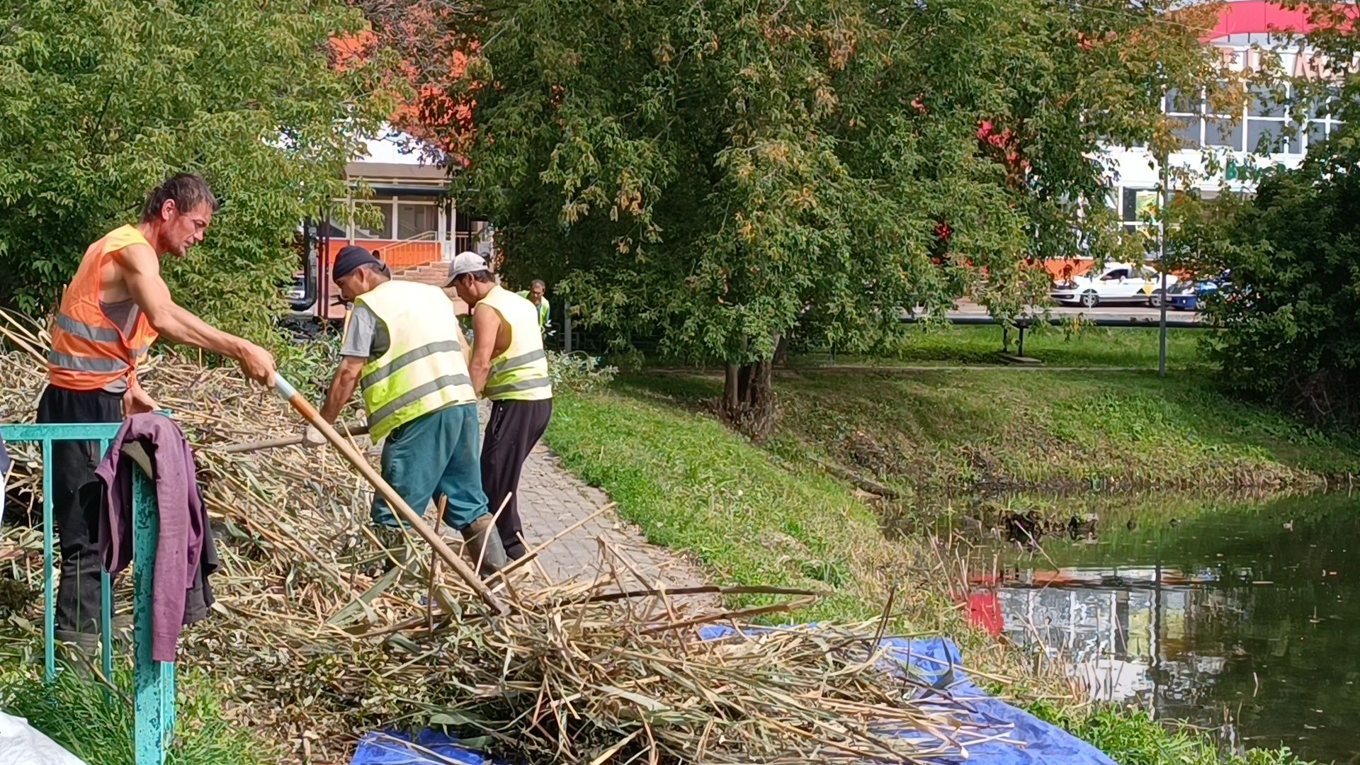 пруд, лобня, экология,
