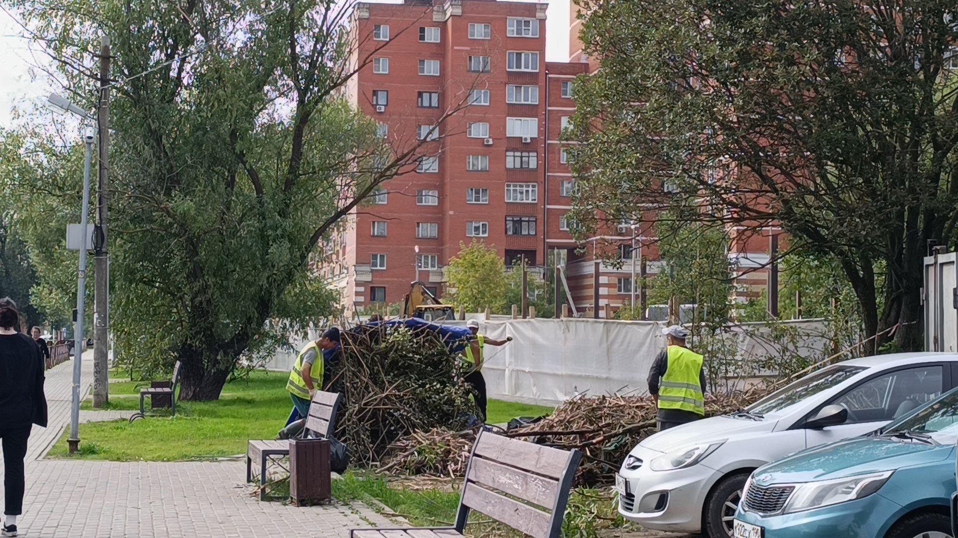 пруд, лобня, экология,