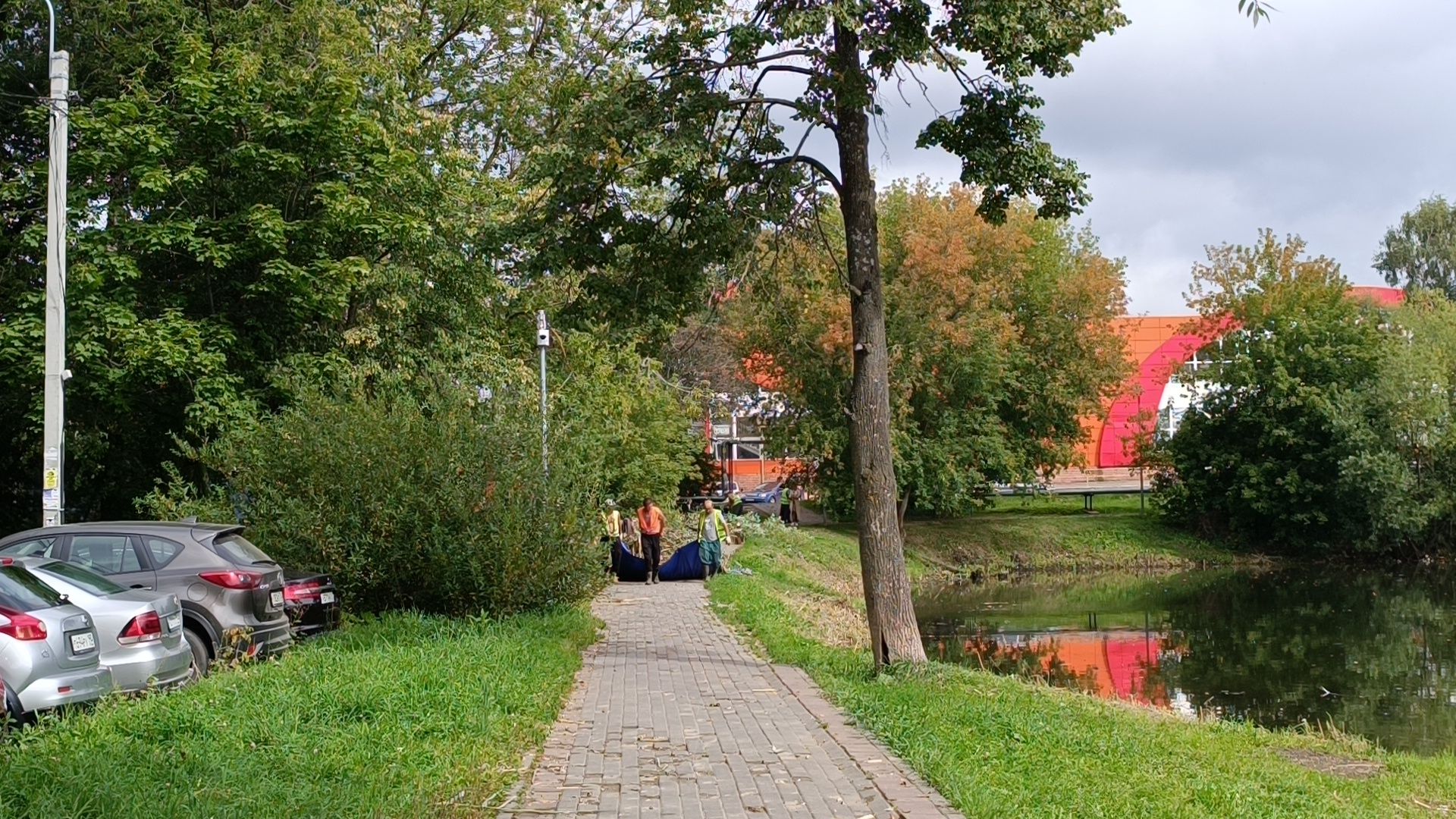 пруд, лобня, экология,