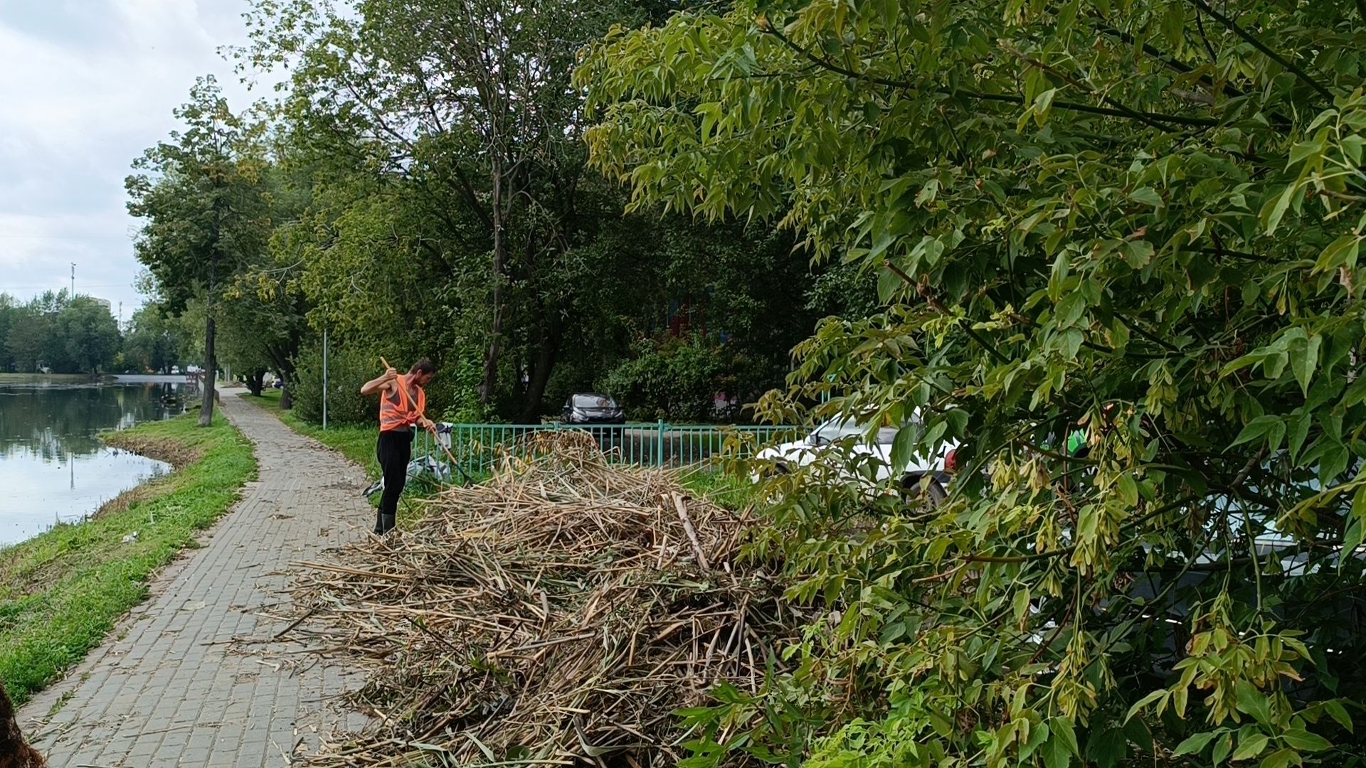 пруд, лобня, экология,