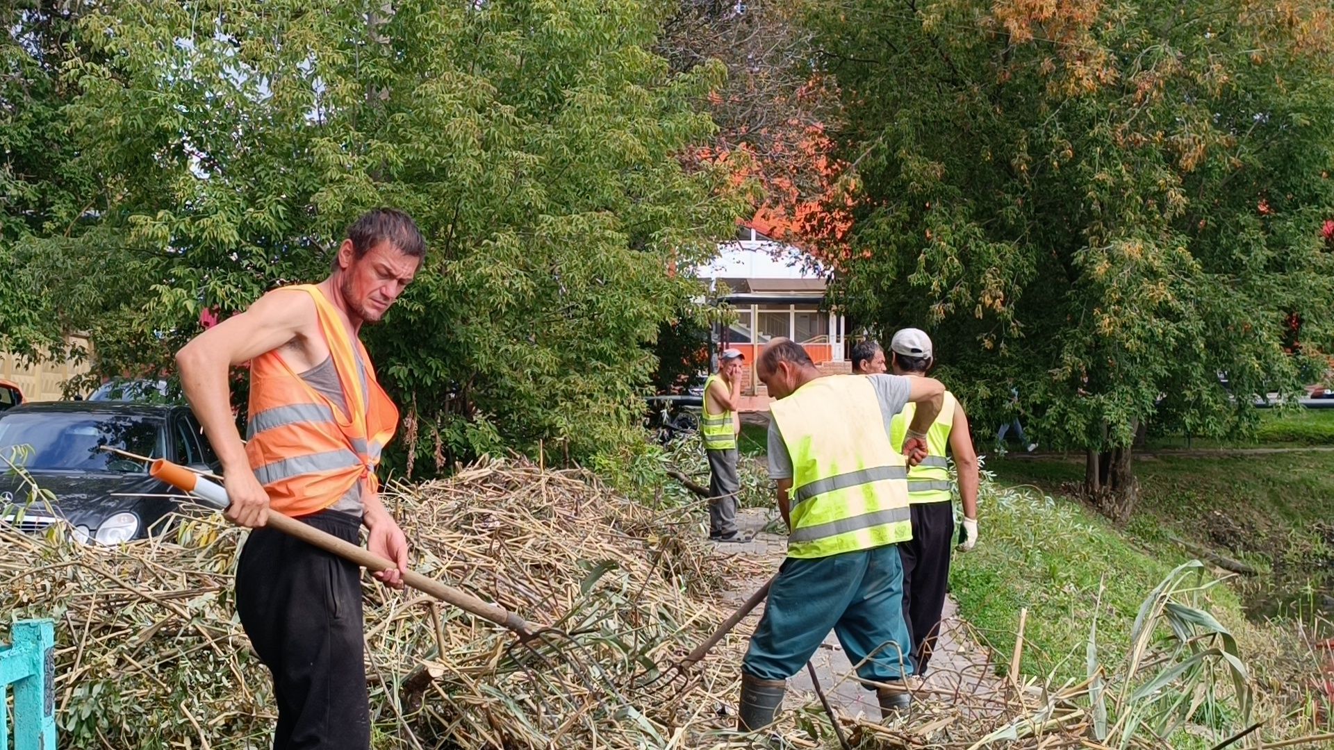 пруд, лобня, экология,