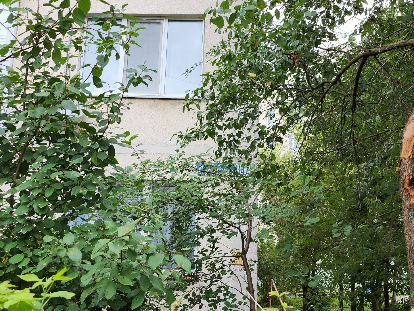 серпухов, подмосковье, комплексное благоустройство двора,