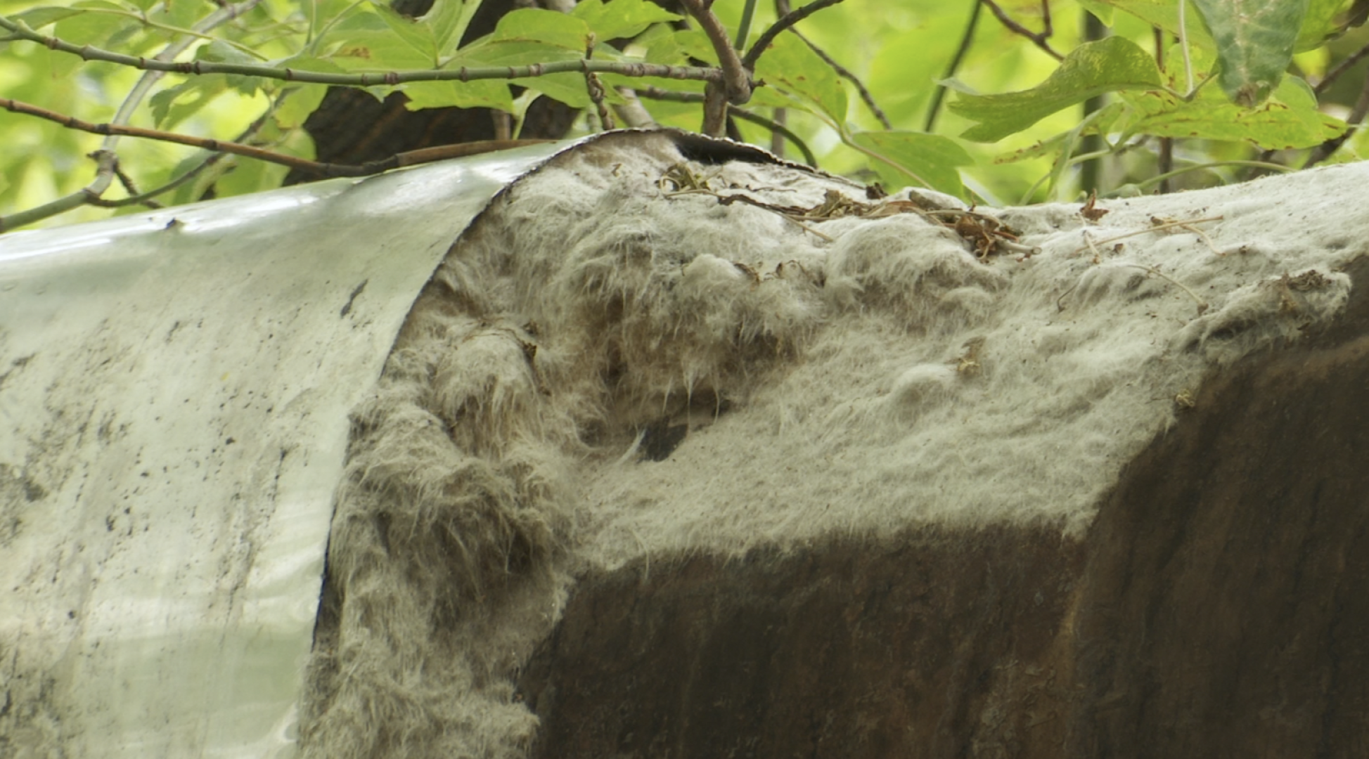 Клин, общество, ЖКХ, тепло, вода,