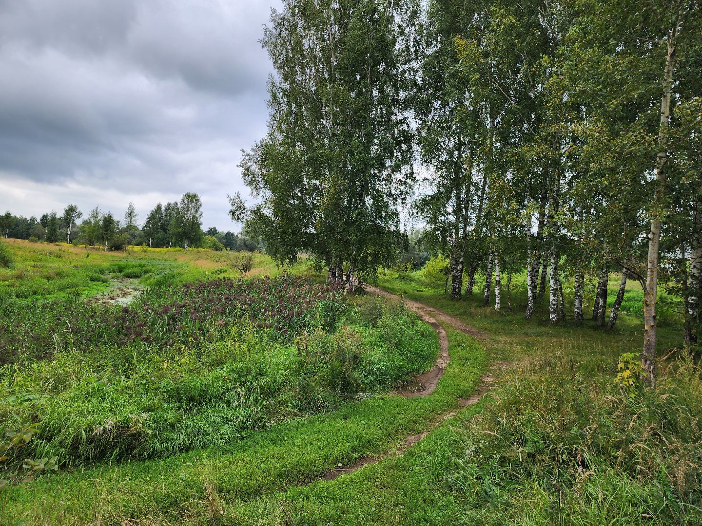 жители, общество, народная тропа, деревня стулово, благоустройство, богородский городской округ, власть,