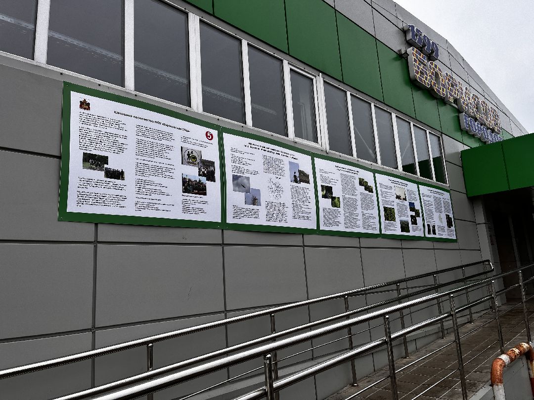 Можайск, общество