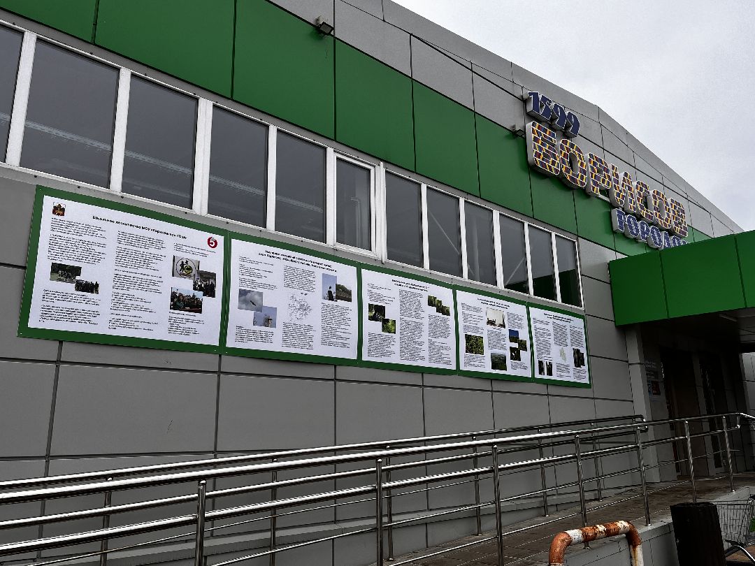 Можайск, общество