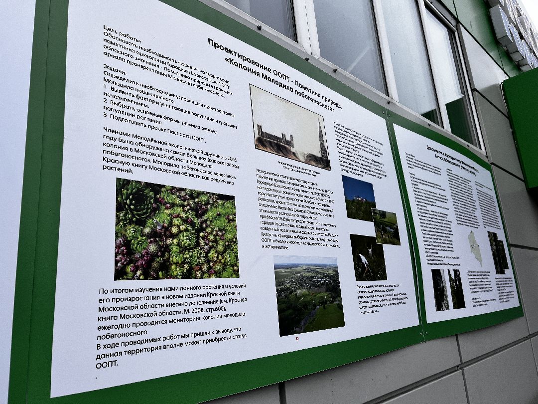 Можайск, общество