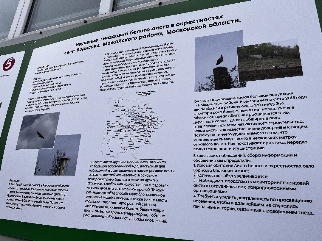 Можайск, общество