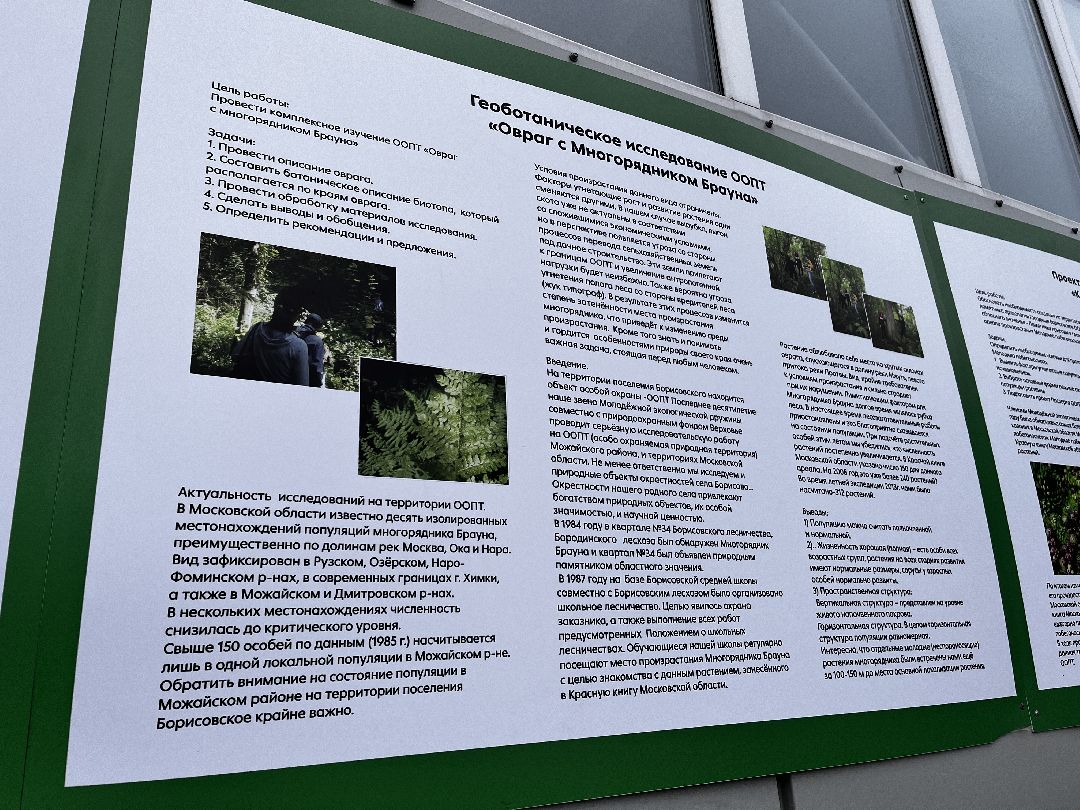 Можайск, общество