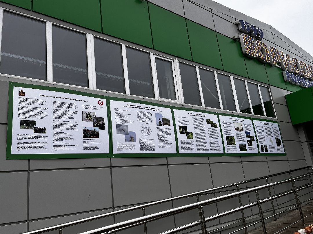 Можайск, общество