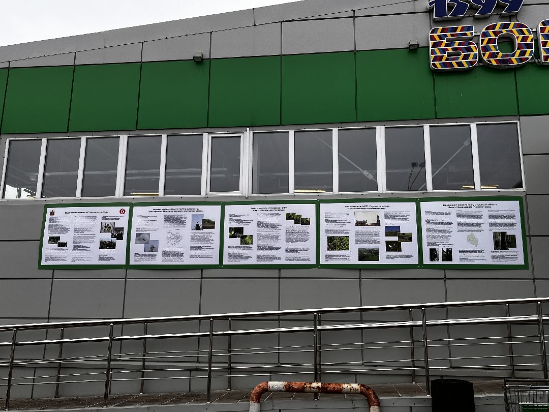 Можайск, общество