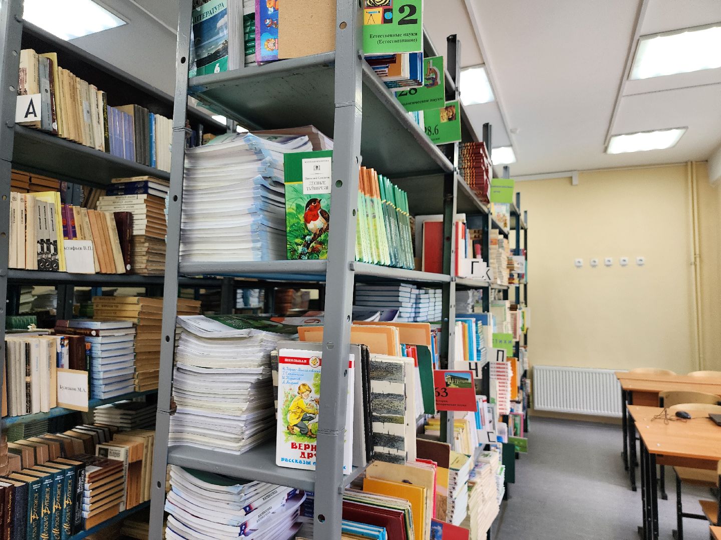 образование, новый учебный год, школьная библиотека, Ногинск, Богородский городской округ,