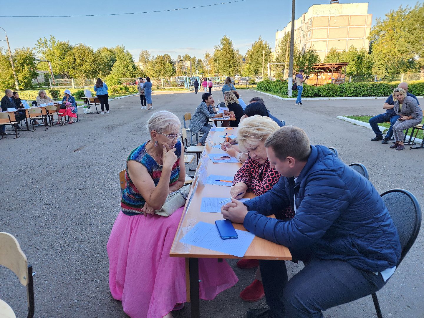 Чехов, село Стремилово, выездная администрация, встреча с жителями, обращения граждан, благоустройство, опиловка деревьев, дорожный ремонт, уличное освещение, улица Луговая,