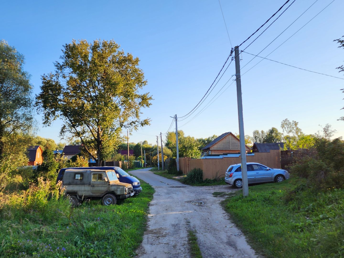 Чехов, село Стремилово, выездная администрация, встреча с жителями, обращения граждан, благоустройство, опиловка деревьев, дорожный ремонт, уличное освещение, улица Луговая,