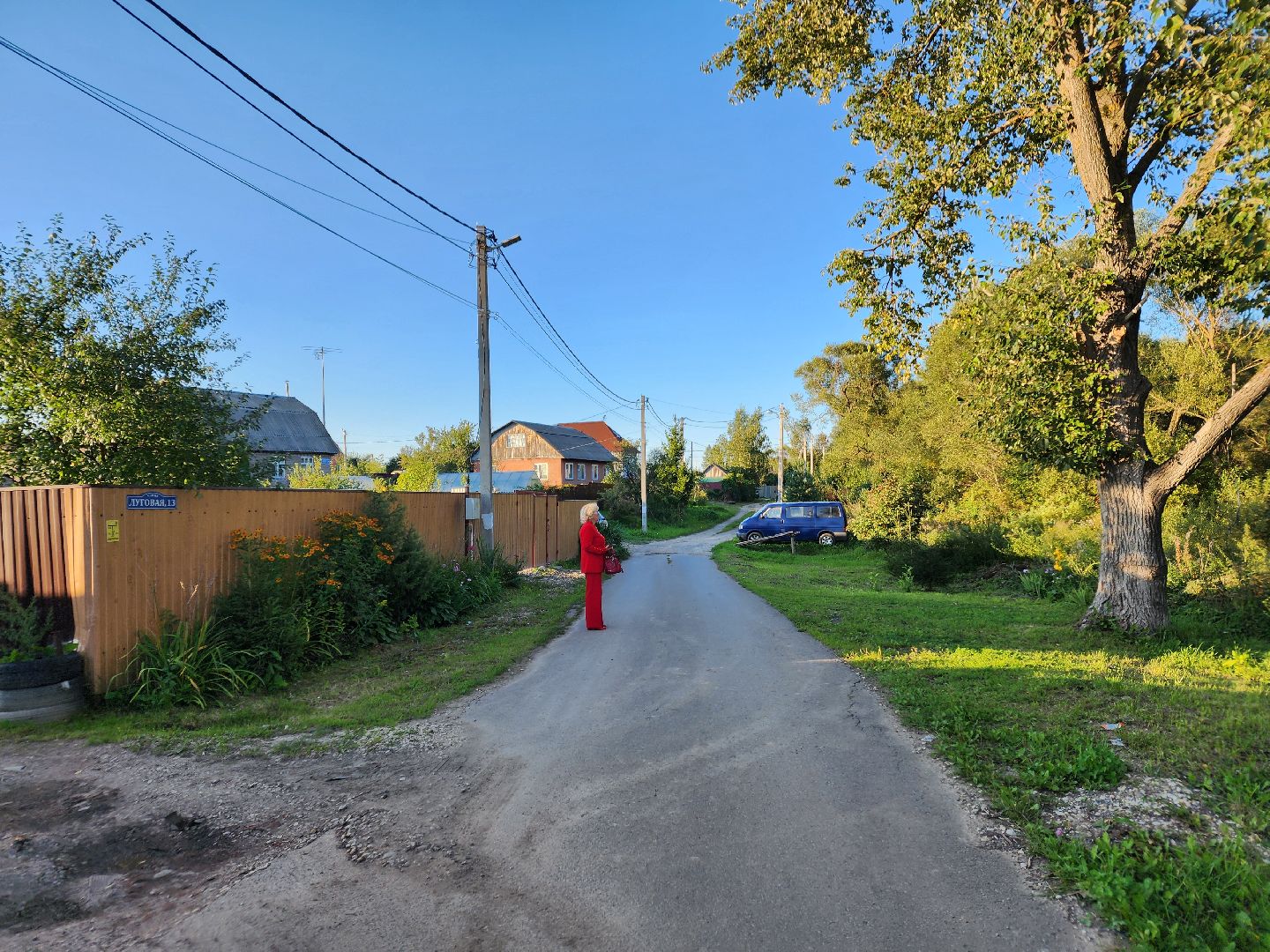 Чехов, село Стремилово, выездная администрация, встреча с жителями, обращения граждан, благоустройство, опиловка деревьев, дорожный ремонт, уличное освещение, улица Луговая,