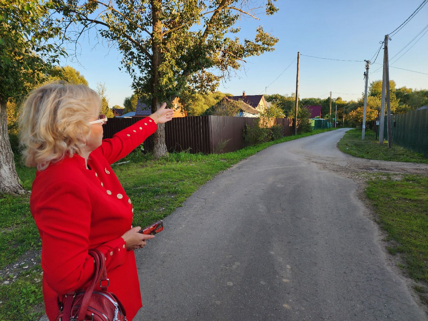 Чехов, село Стремилово, выездная администрация, встреча с жителями, обращения граждан, благоустройство, опиловка деревьев, дорожный ремонт, уличное освещение, улица Луговая,