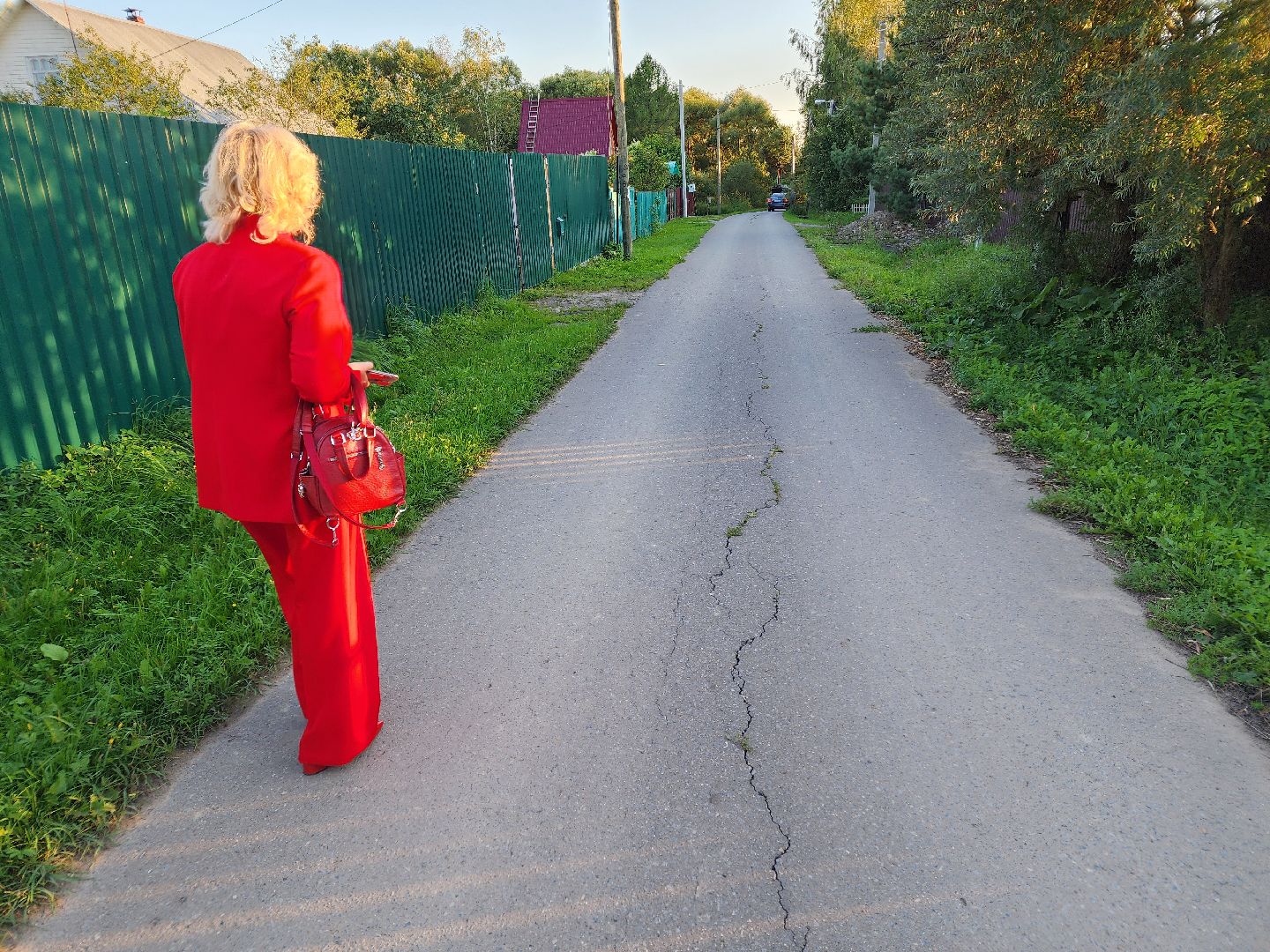 Чехов, село Стремилово, выездная администрация, встреча с жителями, обращения граждан, благоустройство, опиловка деревьев, дорожный ремонт, уличное освещение, улица Луговая,