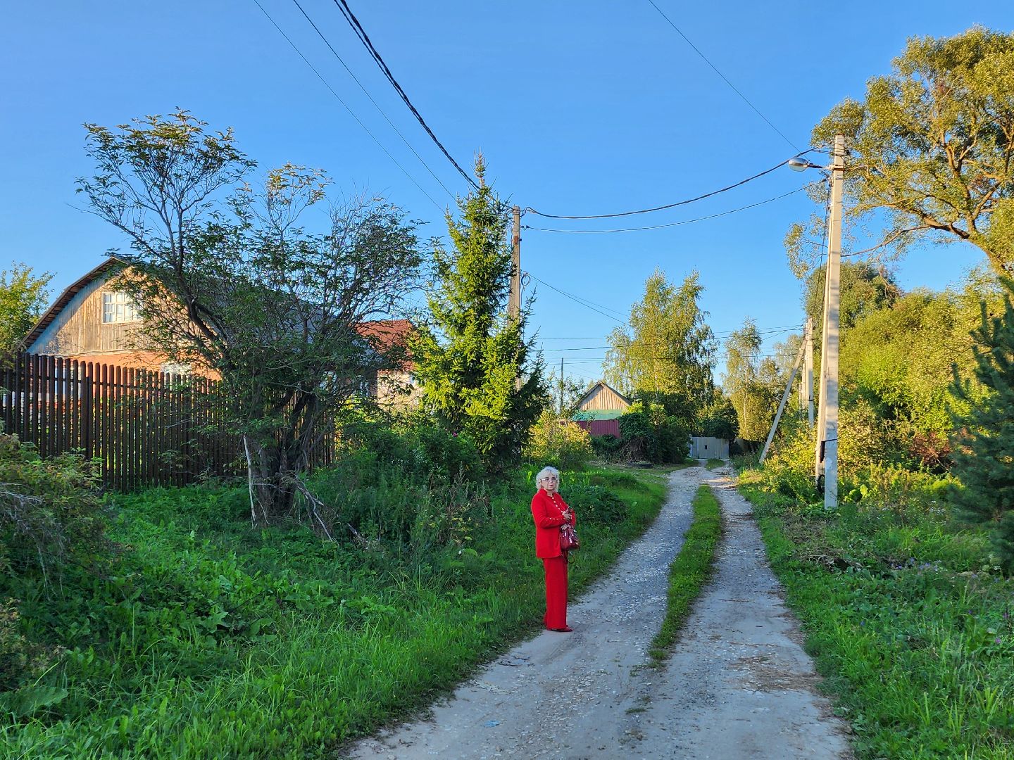 Чехов, село Стремилово, выездная администрация, встреча с жителями, обращения граждан, благоустройство, опиловка деревьев, дорожный ремонт, уличное освещение, улица Луговая,