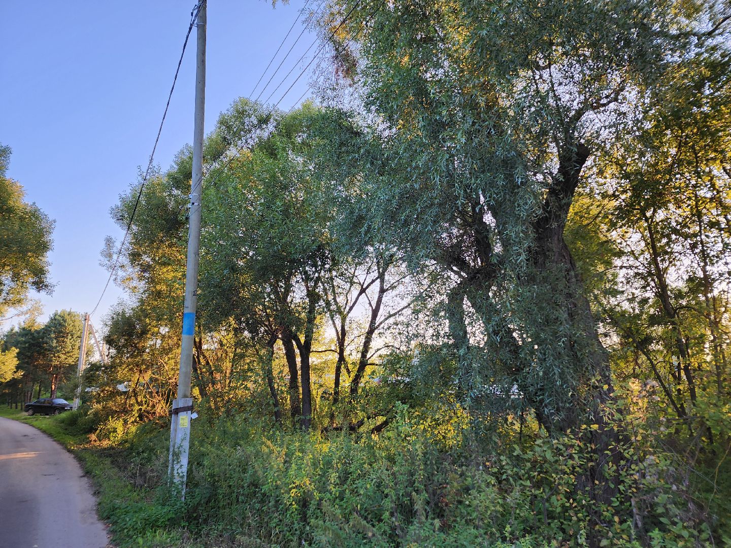 Чехов, село Стремилово, выездная администрация, встреча с жителями, обращения граждан, благоустройство, опиловка деревьев, дорожный ремонт, уличное освещение, улица Луговая,