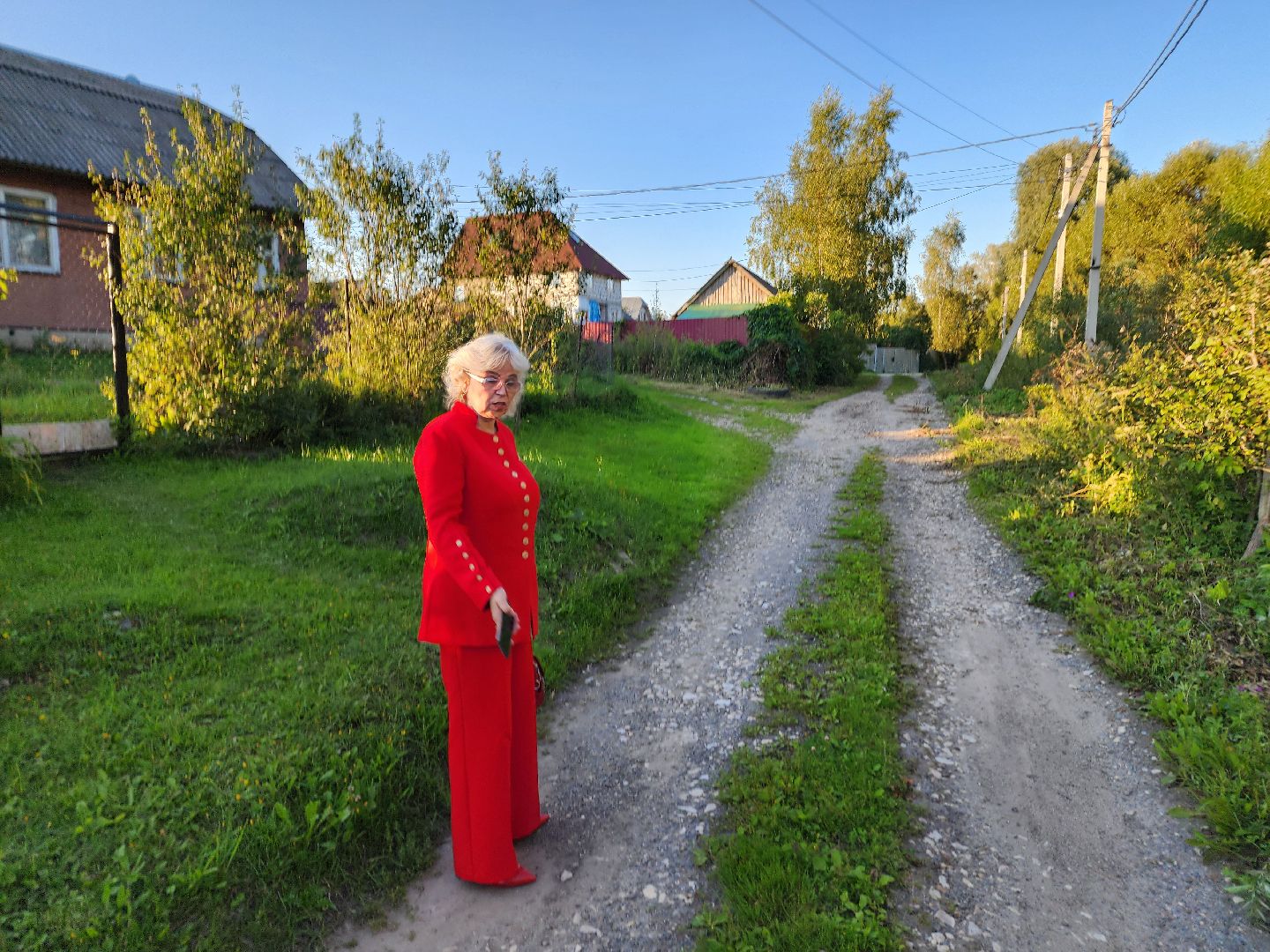 Чехов, село Стремилово, выездная администрация, встреча с жителями, обращения граждан, благоустройство, опиловка деревьев, дорожный ремонт, уличное освещение, улица Луговая,