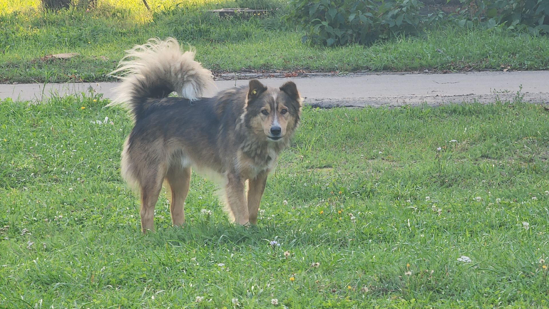 ступино, выездная администрация, жкх,