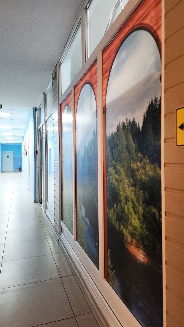 электросталь, колледж, электростальский колледж, образование, образование в подмосковье, образование электросталь, профессиональное образование, лучший колледж, федеральный проект, приемная комиссия,