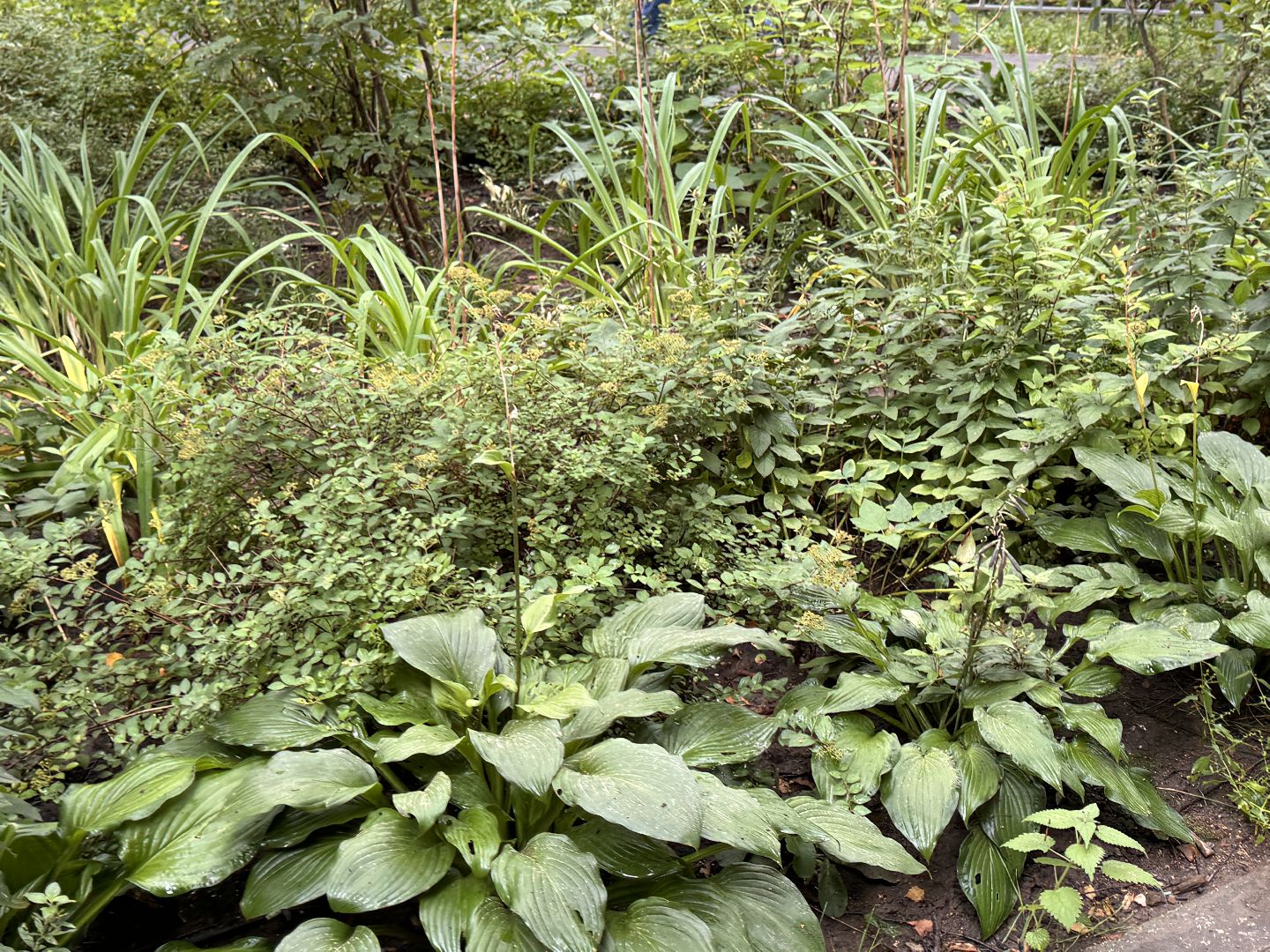 Народные тропы, Одинцово, Программа пешком,