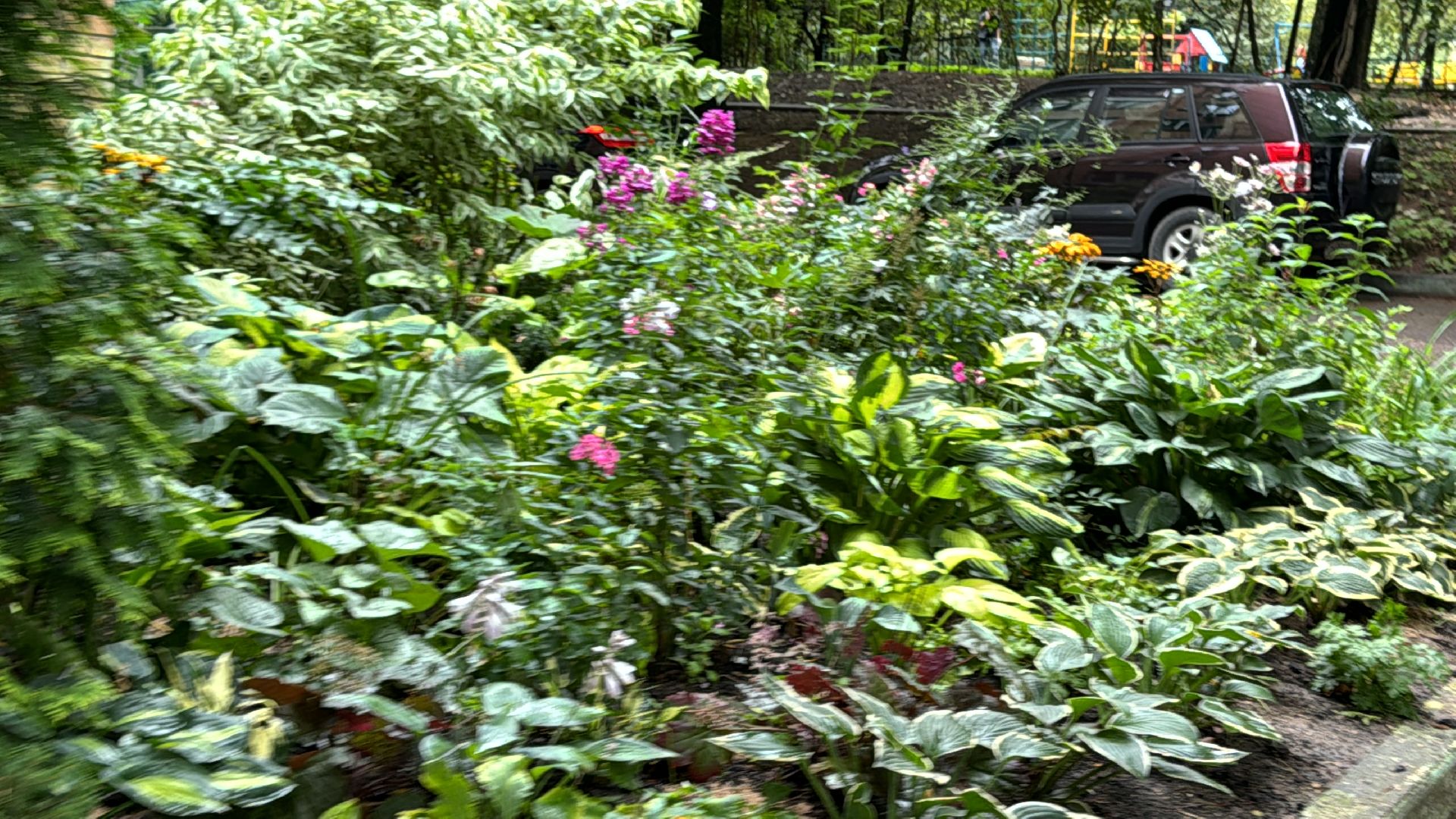 Народные тропы, Одинцово, Программа пешком,