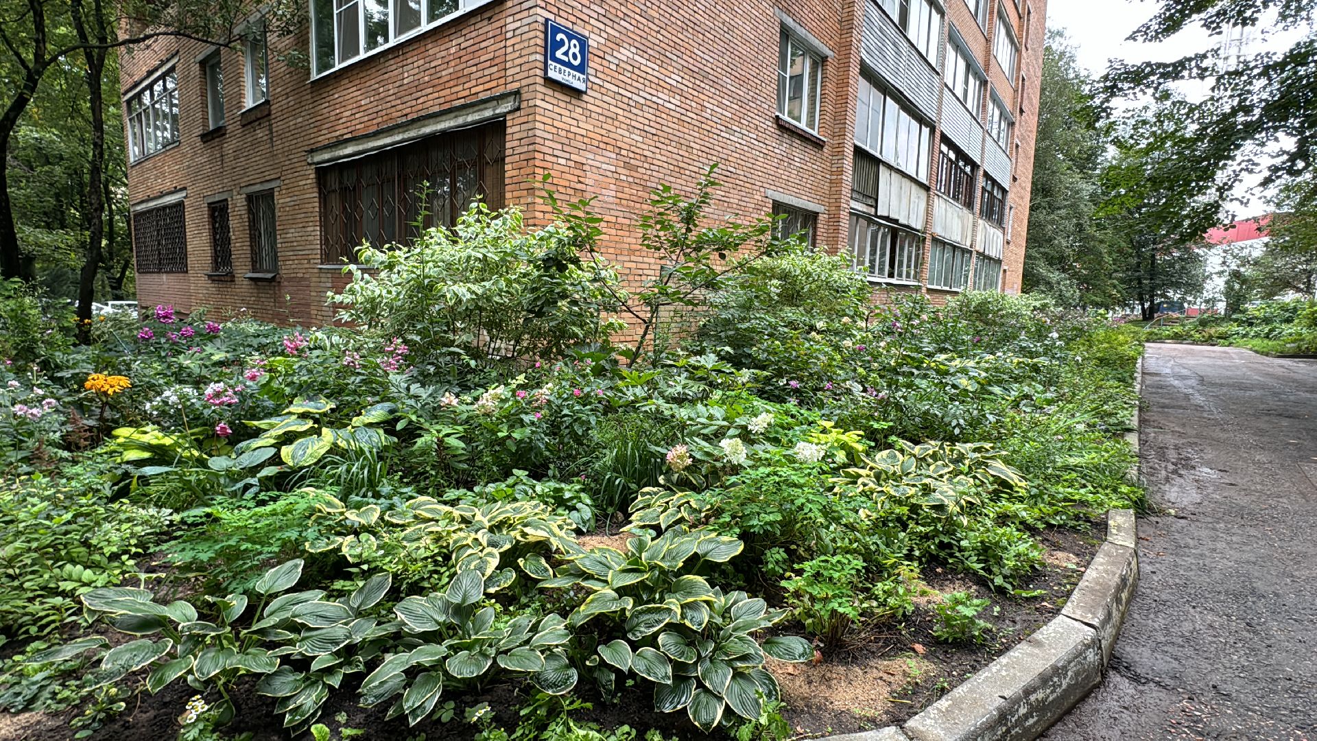 Народные тропы, Одинцово, Программа пешком,