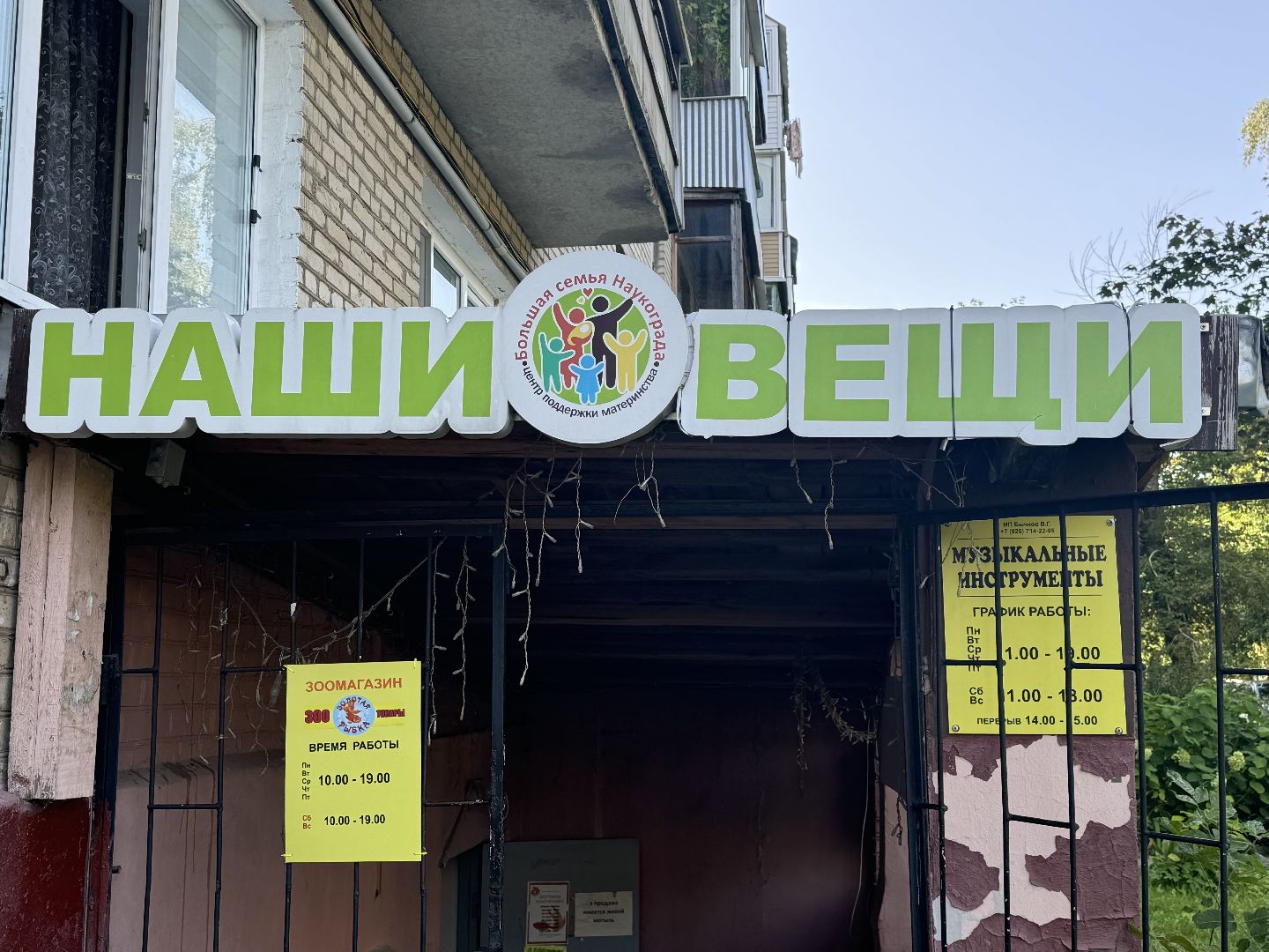 фрязино, помощь, большая семья наукограда,