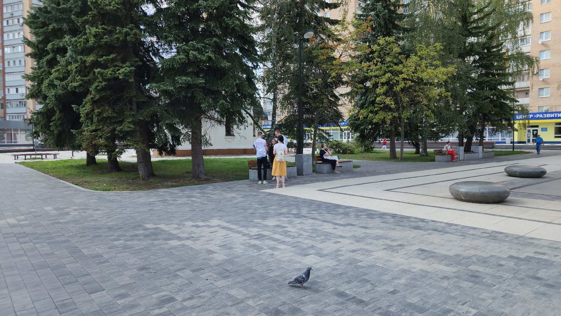 российский триколор, ступино, волонтеры подмосковья,