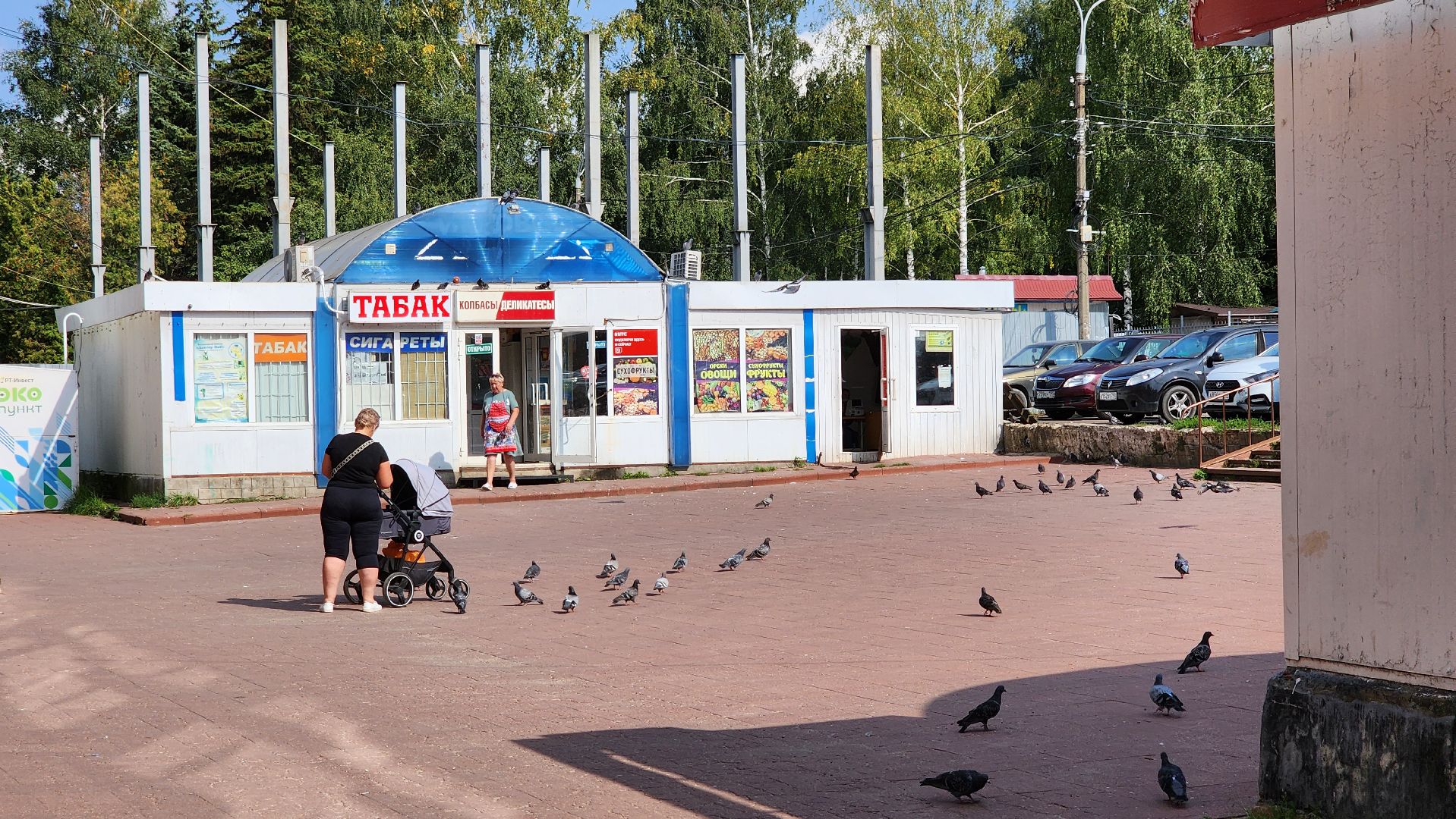 кашира, мониторинг торговых объектов, образовательные учреждения, отдел торговли,