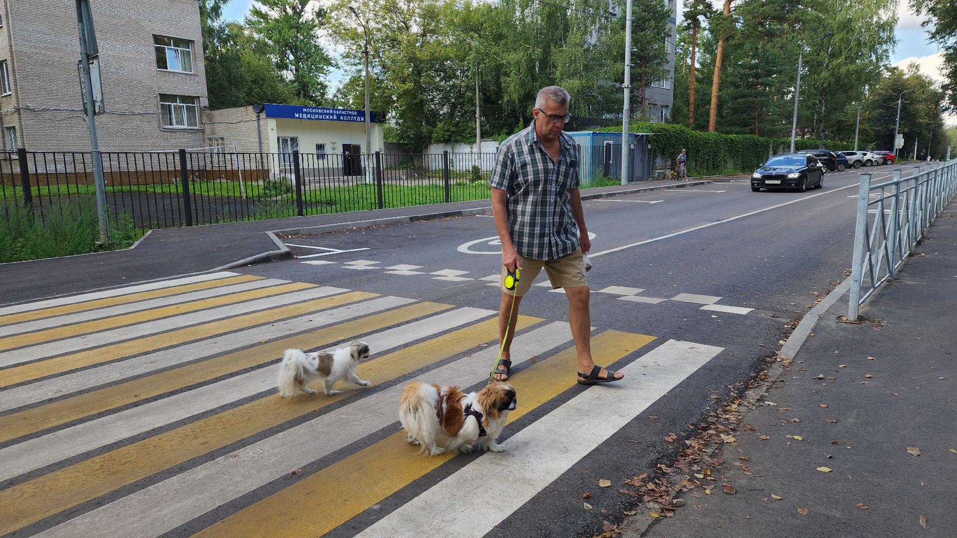 пушкино, дорожный ремонт, дорожный знак, тротуары, автобусная остановка, асфальтирование дорог,