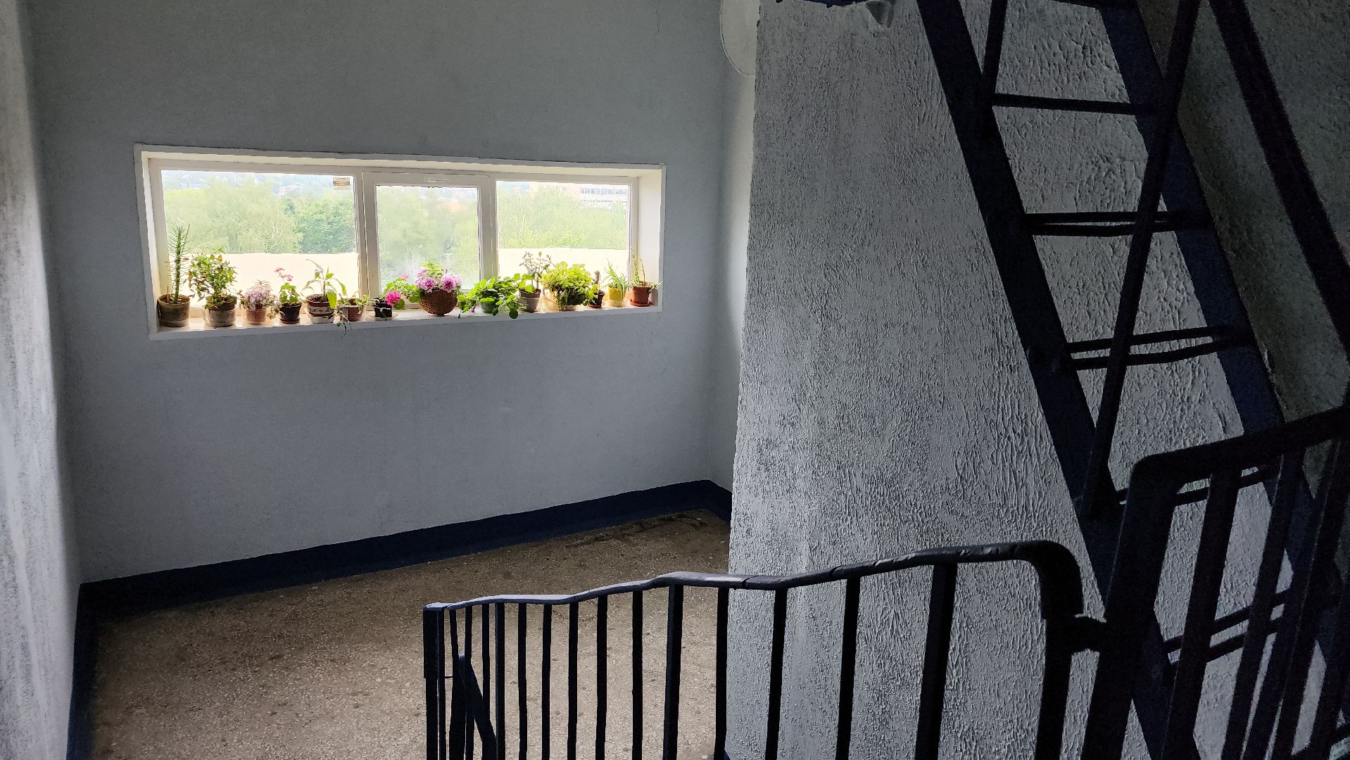 ремонт подъездов, МКД, ЖКХ, Лосино-Петровский, ремонт,