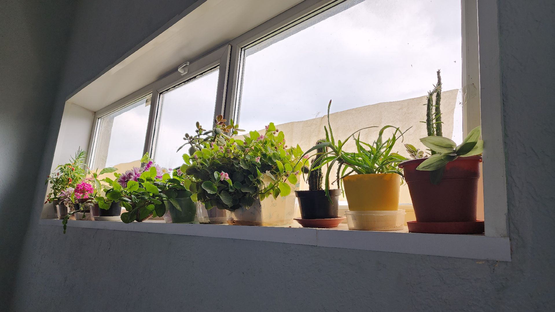 ремонт подъездов, МКД, ЖКХ, Лосино-Петровский, ремонт,