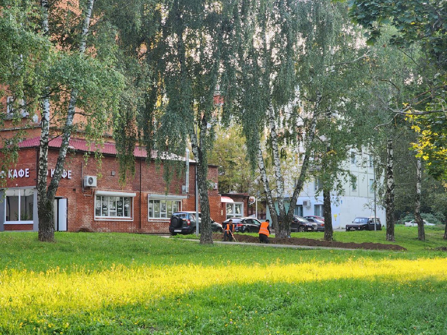 пущино, серпухов, светлый город,