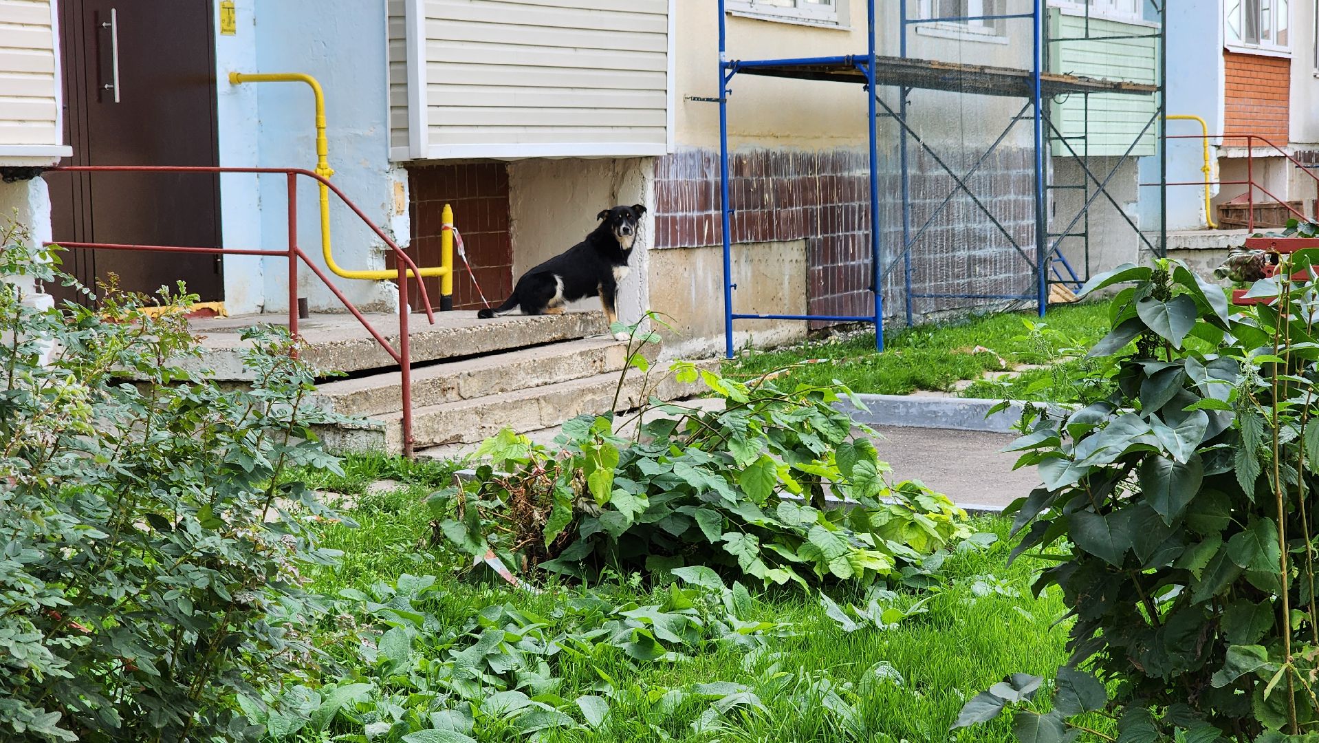 кашира, кокино, ремонт кровли, выездная администрация, жкх,