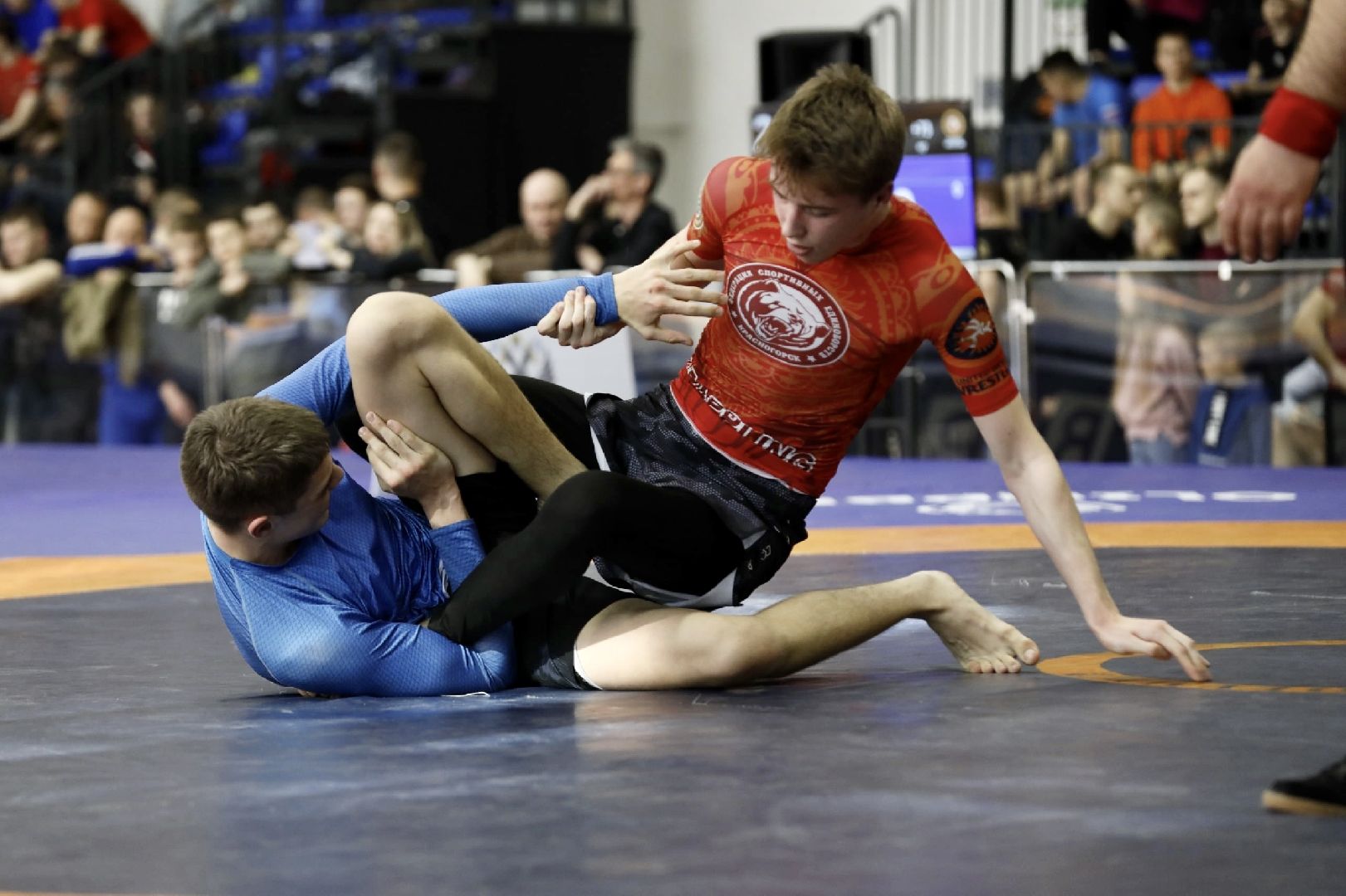 грэпплинг, спорт Подмосковья, первенство московской области, спортивная борьба, Наро-Фоминск. Наро-Фоминский городской округ
