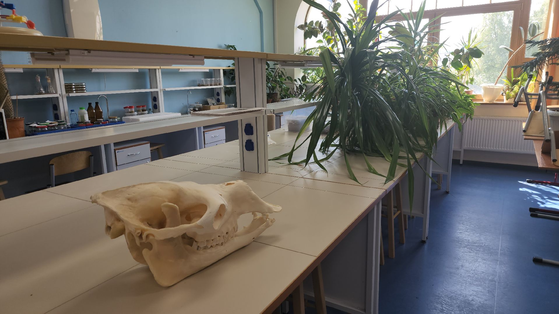 долгопрудный, физтех-лицей, Рейтинг школ России, олимпиадники, выпускники, мфти, система Капицы,