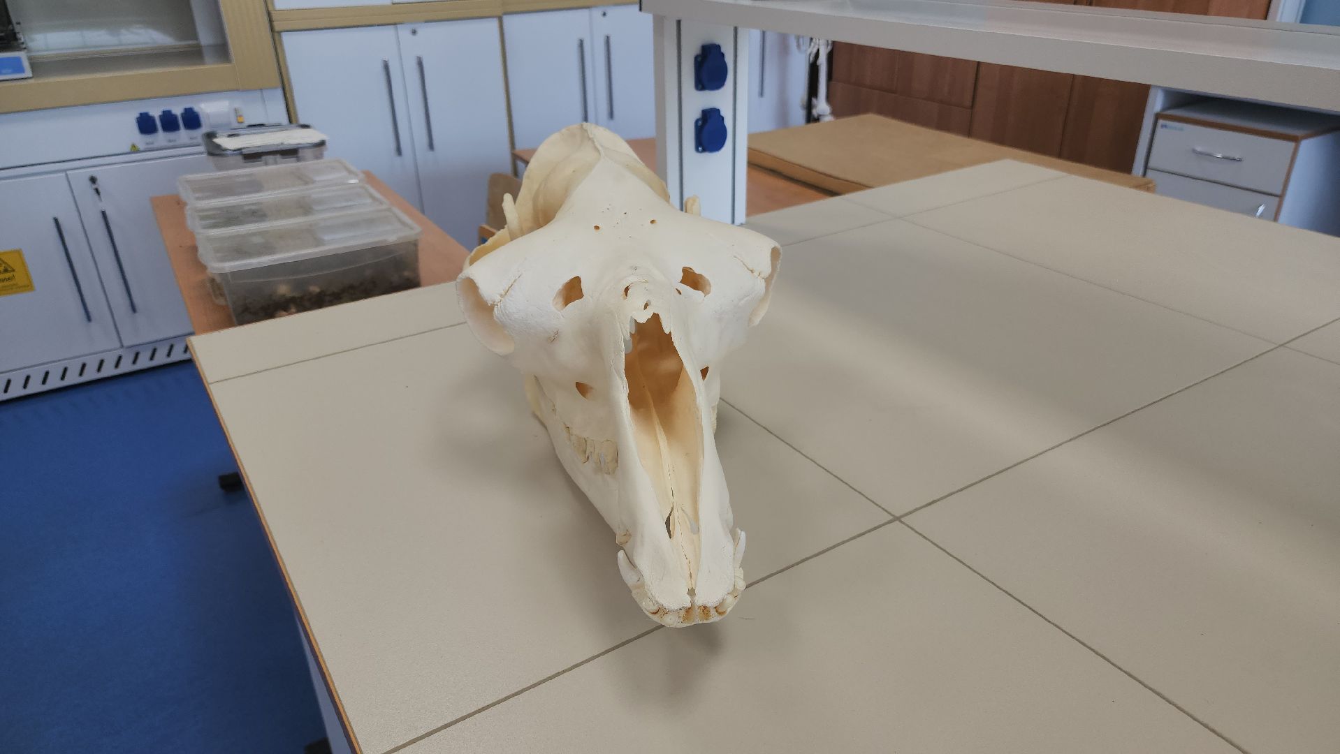 долгопрудный, физтех-лицей, Рейтинг школ России, олимпиадники, выпускники, мфти, система Капицы,