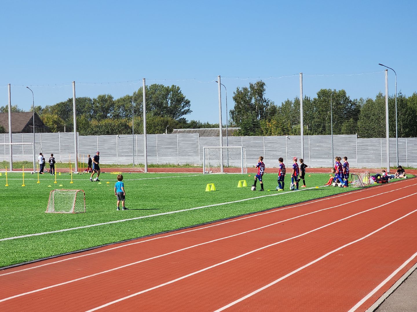 ремонт фок, спорт,