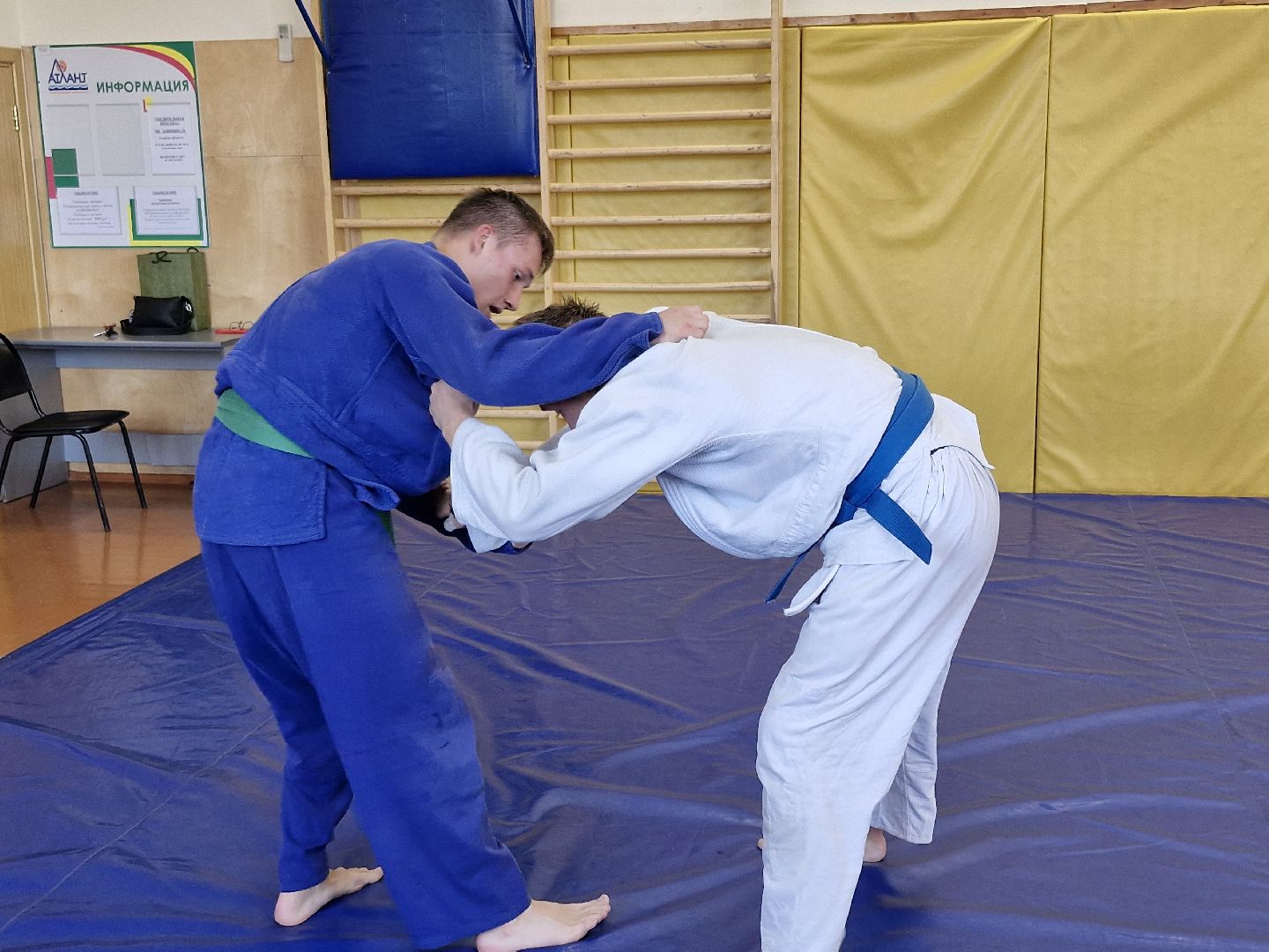 Спортивный комплекс Атлант, СК Авангард, Спортивный сезон,