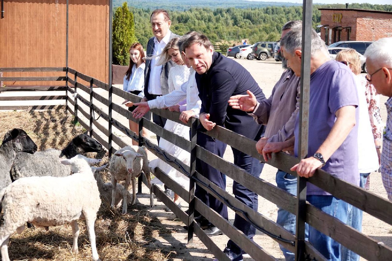 Сыр, Сельское хозяйство, Фермерство, Господдержка, Сыроварня, Фермерская продукция, Сергиево-Посадский городской округ,