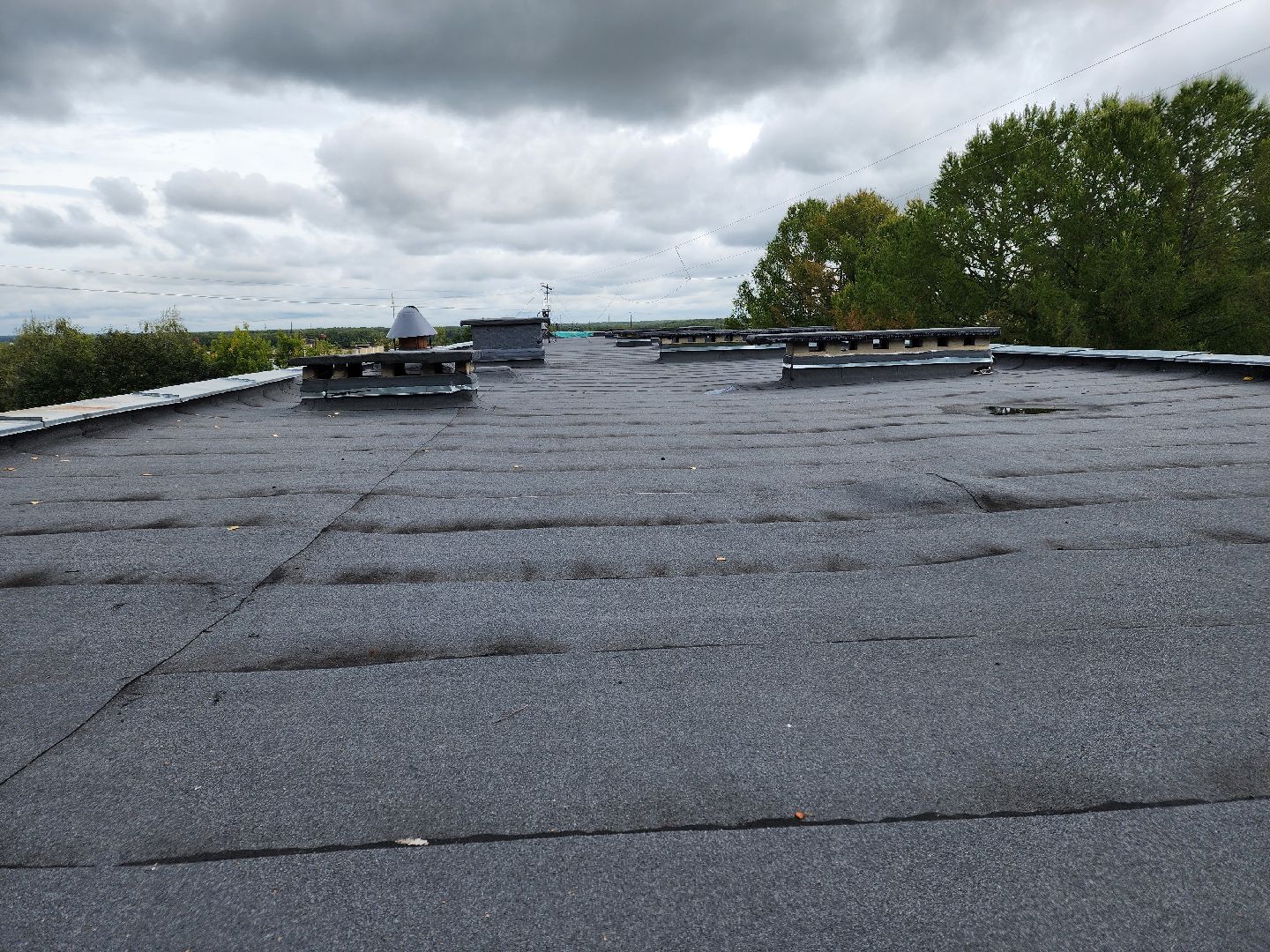 Чехов, школа 8, ремонт кровли, замена покрытия кровли, линокром, муниципальная программа Образование, гидроизоляция, теплоизоляция,
