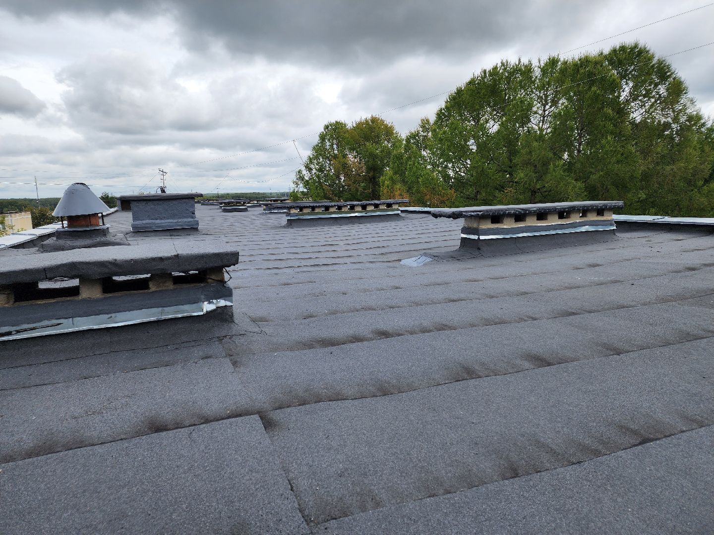 Чехов, школа 8, ремонт кровли, замена покрытия кровли, линокром, муниципальная программа Образование, гидроизоляция, теплоизоляция,