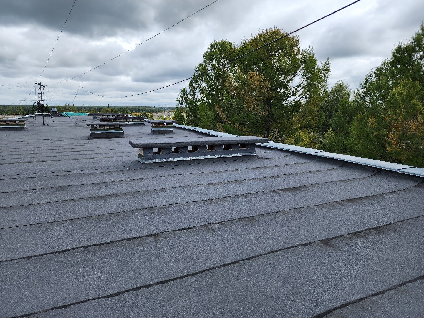 Чехов, школа 8, ремонт кровли, замена покрытия кровли, линокром, муниципальная программа Образование, гидроизоляция, теплоизоляция,